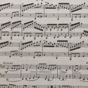 Meet your Posher, Aitlin